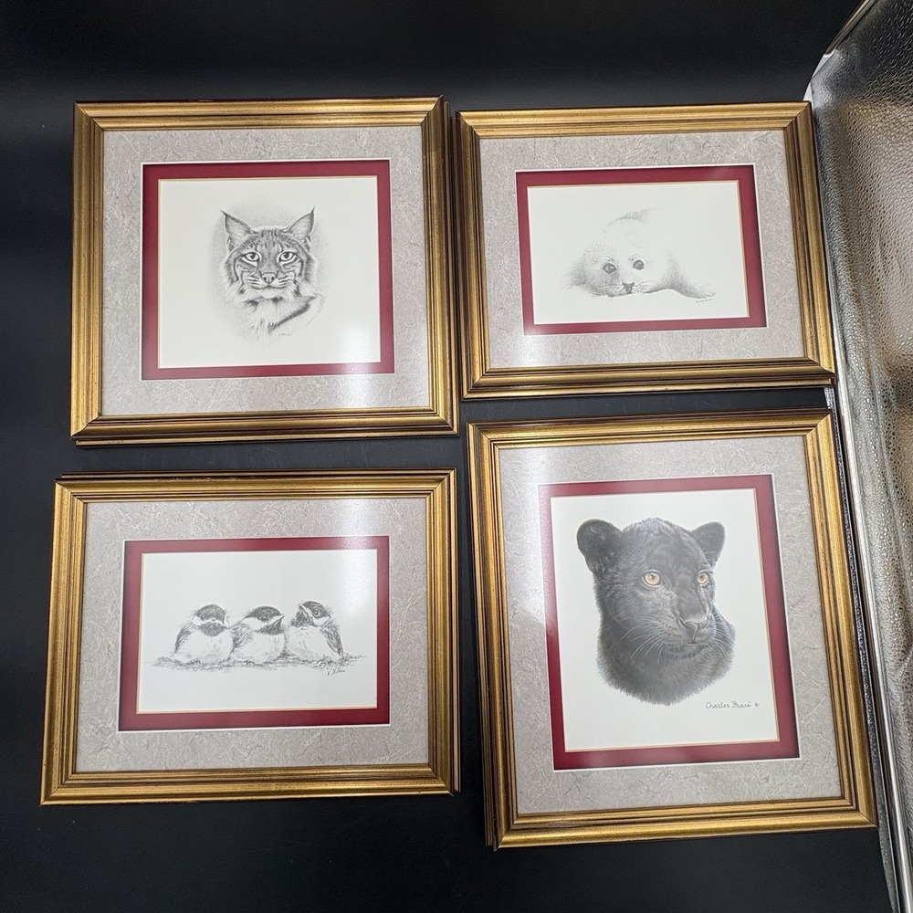 Set Of 4 Animal Prints Pencil Charcoal Professional Matting Gold Frames